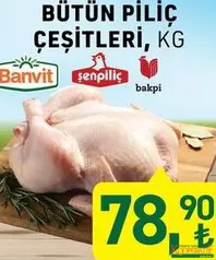 BÜTÜN PİLİÇ ÇEŞİTLERİ KG